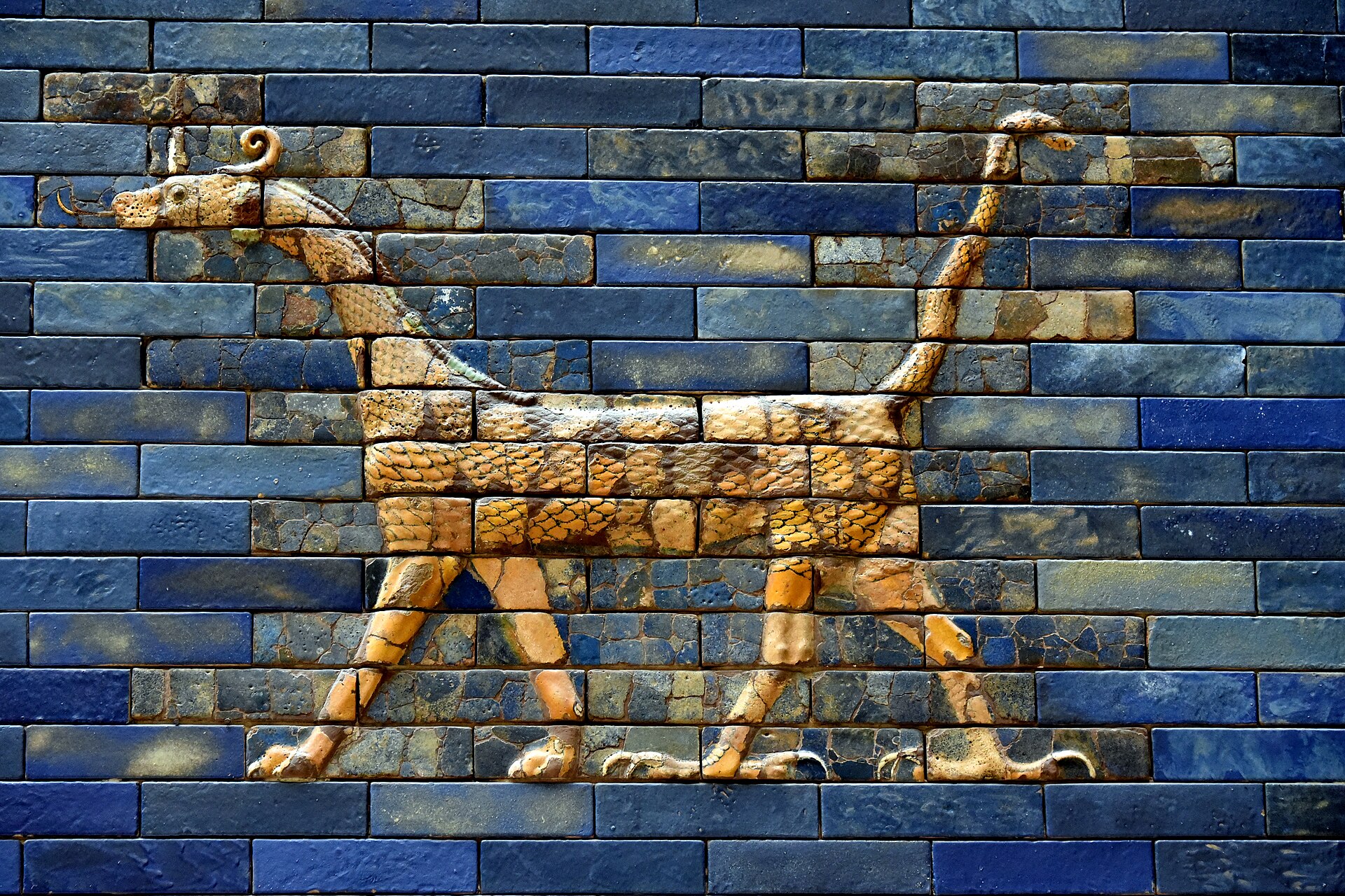 Il mušḫuššu, drago simbolo del dio Marduk, in mattoni smaltati della Porta di Ishtar di Babilonia